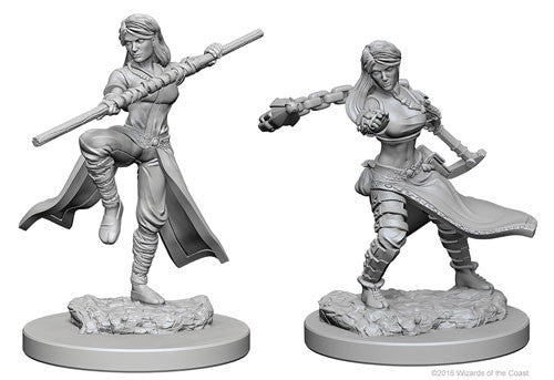 D&D Nolzur's Marvelous Unpainted Minis: W1 Female Human Monk