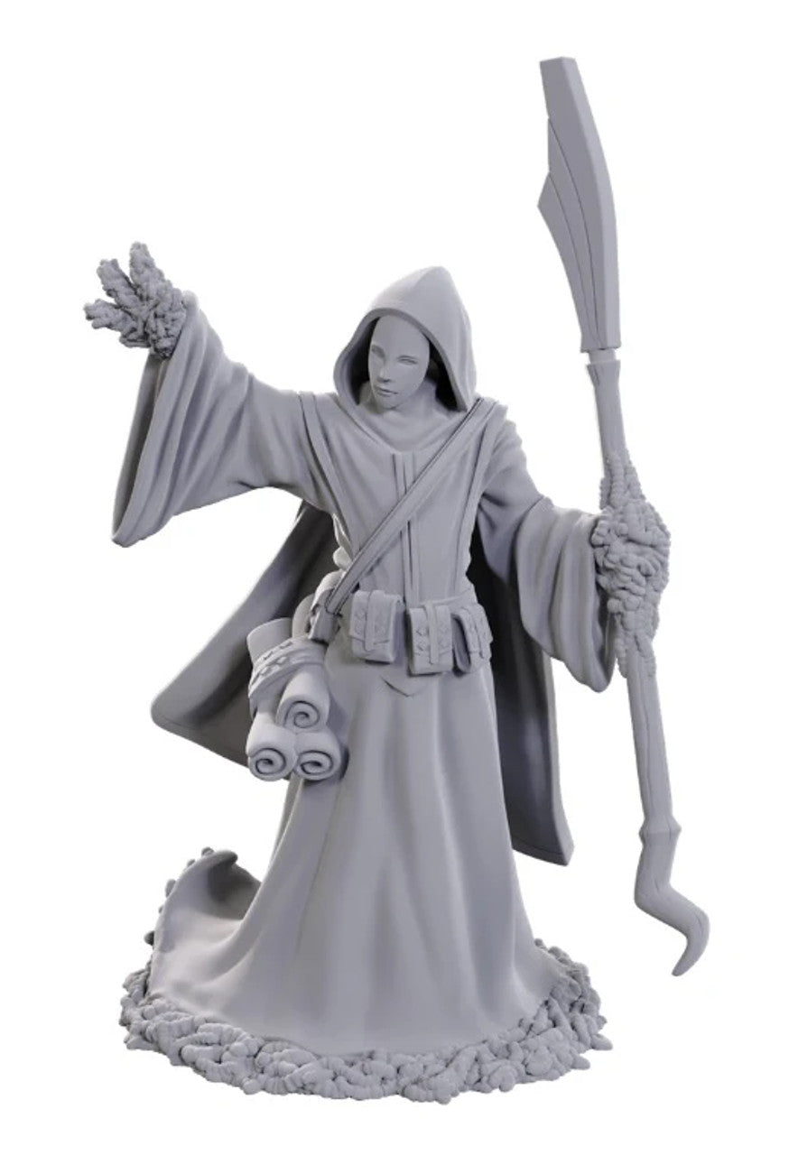 D&D Nolzur's Marvelous Unpainted Minis: W25 Spawn Larva Mage
