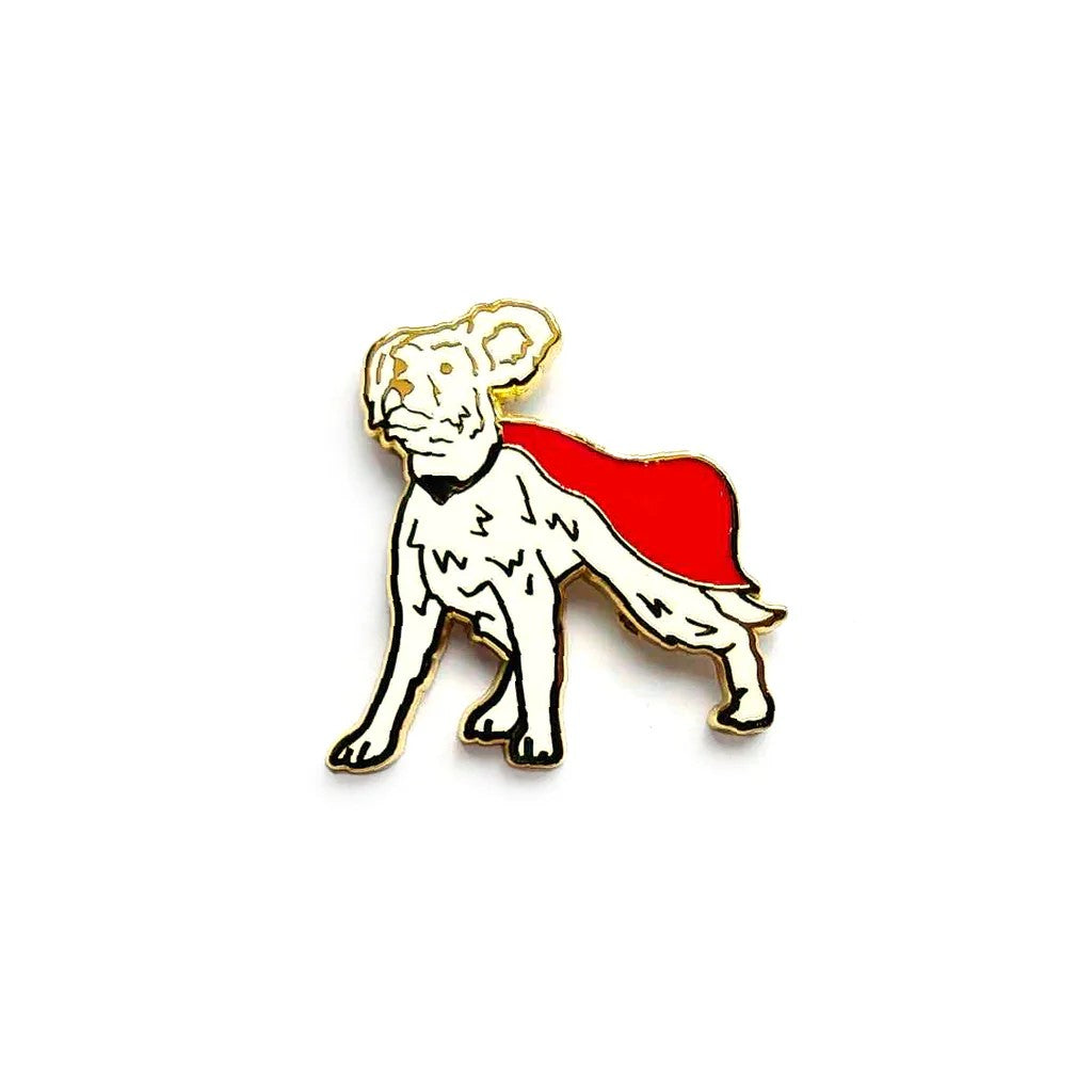 Yesterdays Enamel Pin: Krypto