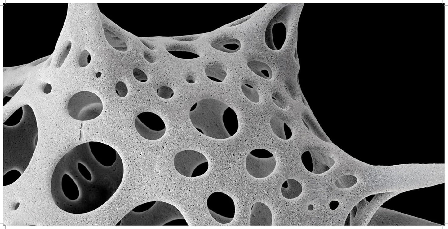 Nanocosmos: Journeys in Electron Space (Harcover)