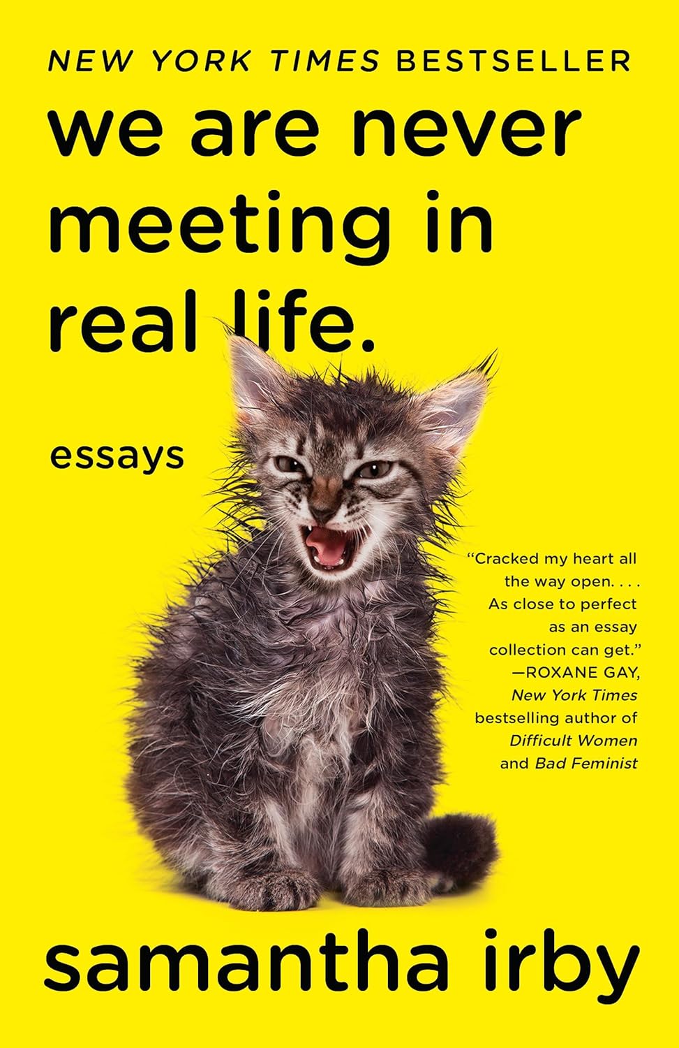 We Are Never Meeting In Real Life: Essays by Samantha Irby