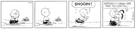 Peanuts: Charlie Brown and Snoopy