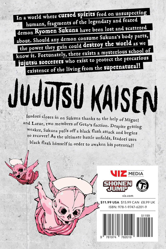 Jujutsu Kaisen, Vol. 29