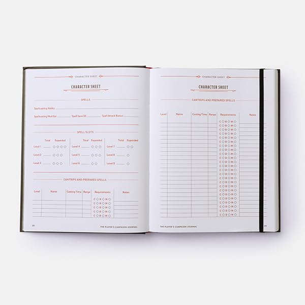 The Player's Campaign Journal (Dungeons & Dragons Hardcover))