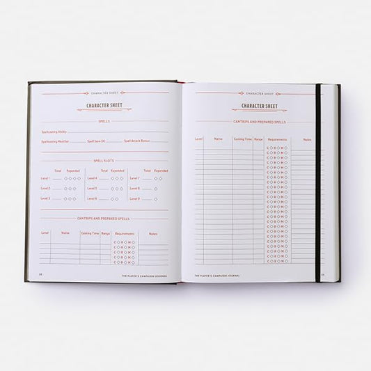 The Player's Campaign Journal (Dungeons & Dragons Hardcover))