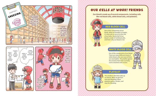 Cells at Work! Picture Book 1: The Great Bacteria Vs. White Blood Cell Battle!