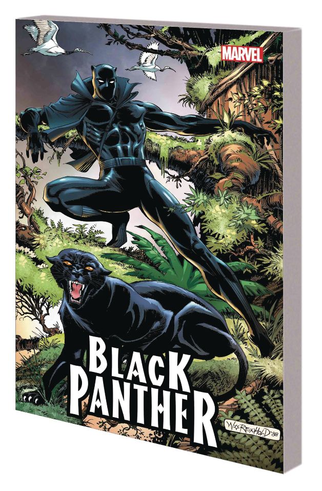 Black Panther: Panther's Quest