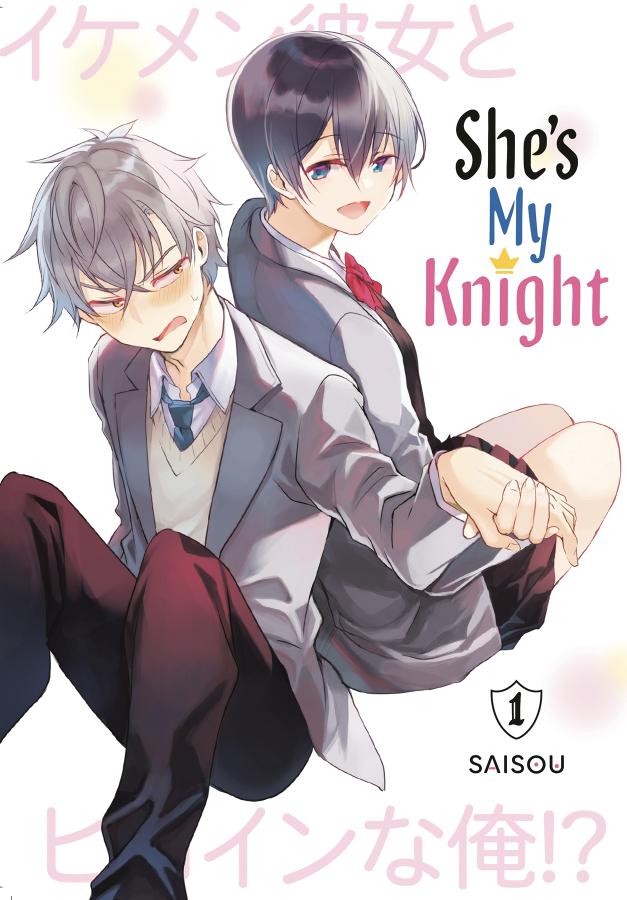 She's My Knight, Vol. 1