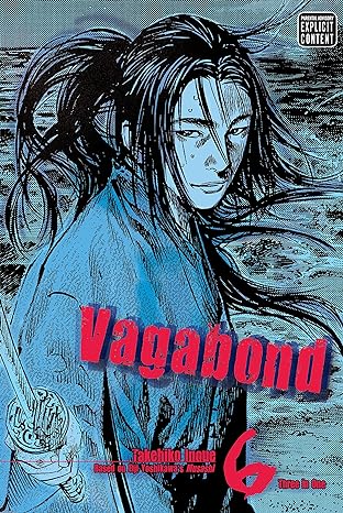 Vagabond, Vol. 6 (Vizbig Edition)