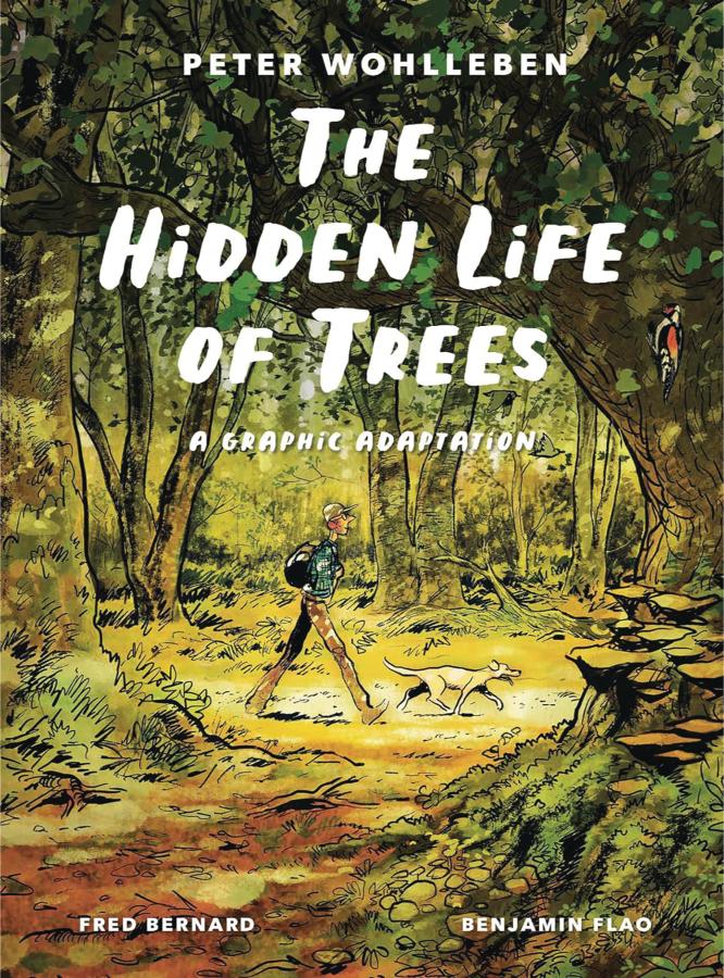 Hidden Life of Trees: A Graphic Novel Adaptation (Hardcover)