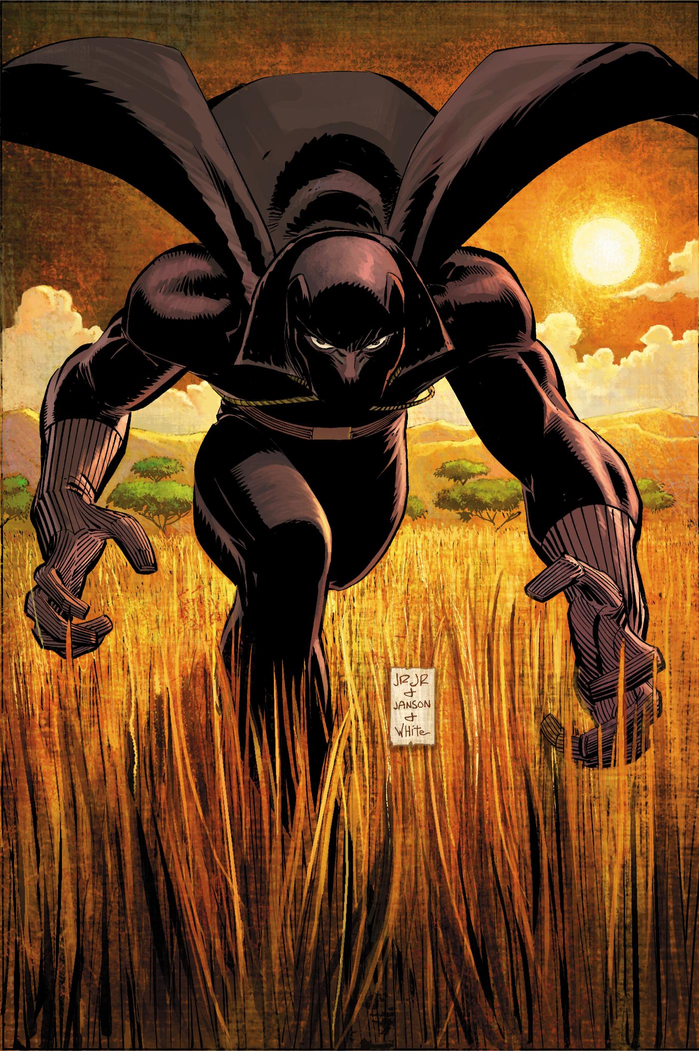 Black Panther by Reginald Hudlin Omnibus (John Romita Jr. Cover Hardcover)