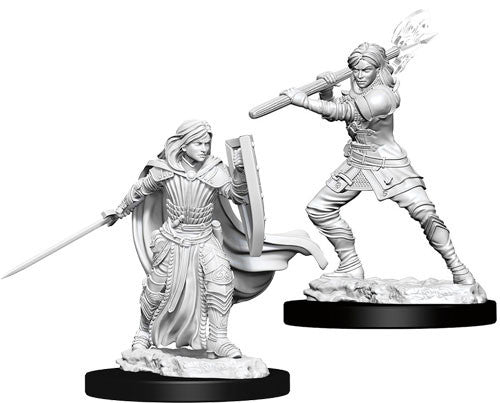 D&D Nolzur's Marvelous Unpainted Minis: W10 Female Human Paladin