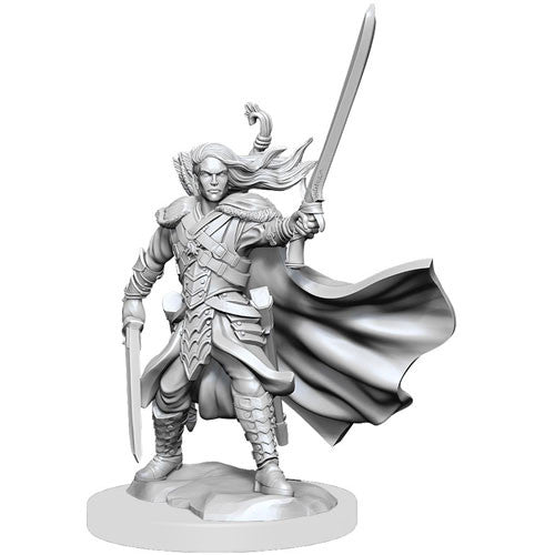 D&D Frameworks: W1 Male Elf Ranger