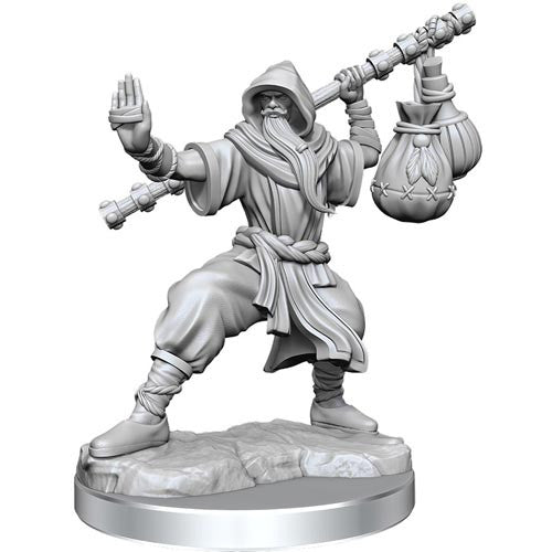 D&D Frameworks: W1 Male Human Monk