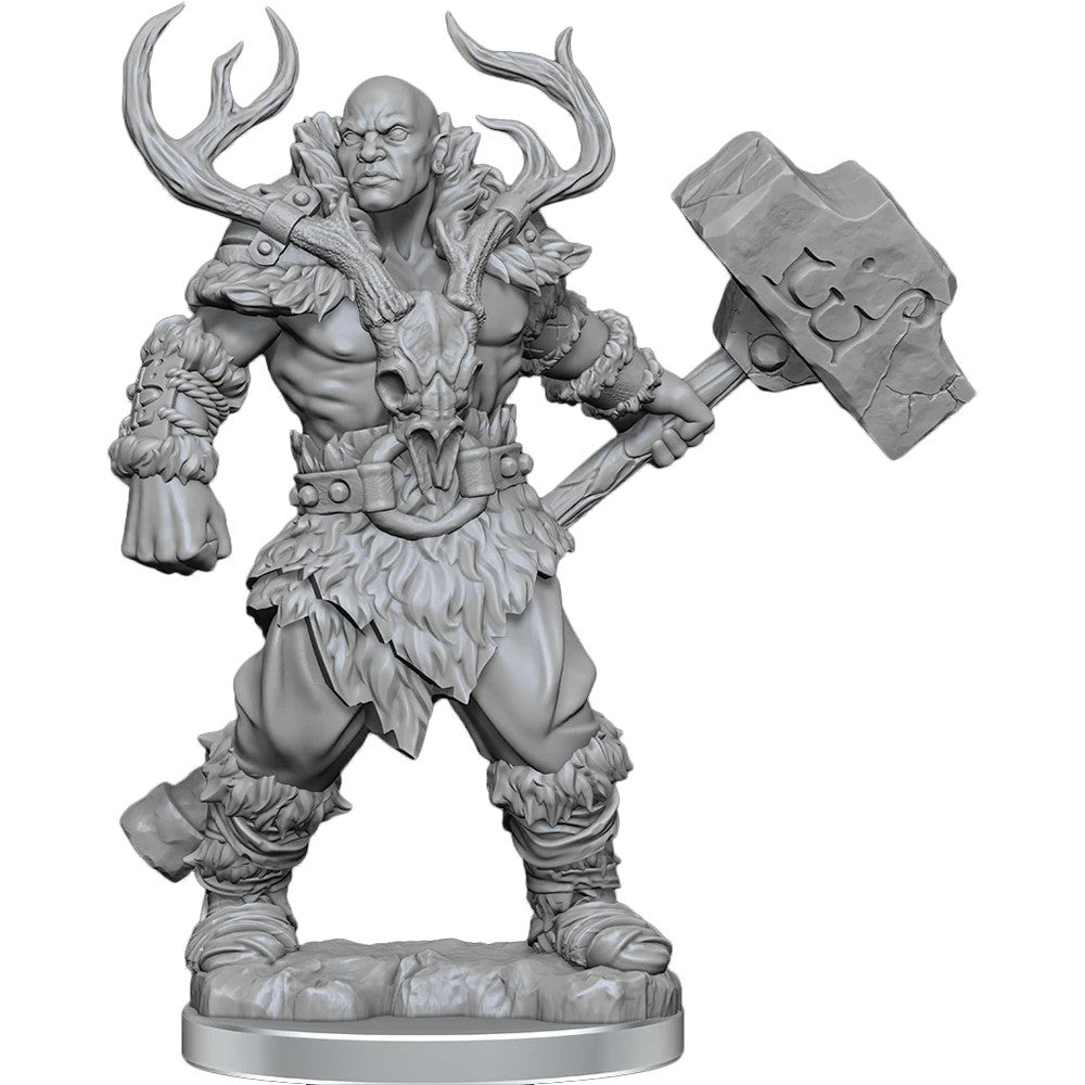 D&D Frameworks: W2 Male Goliath Barbarian