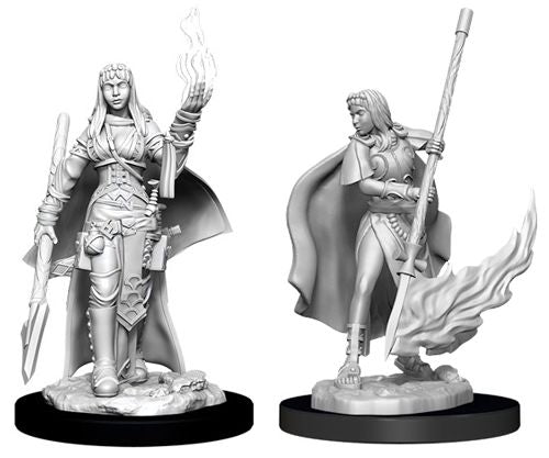 Pathfinder Battles Deep Cuts Unpainted Minis: W11 Female Human Oracle