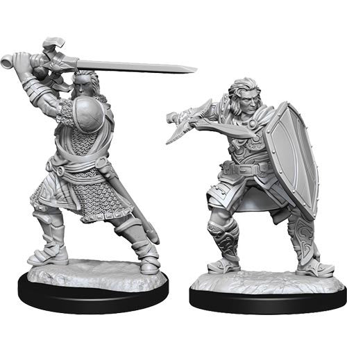 Dungeons & Dragons Nolzur's Marvelous Miniatures: Human Paladin Male