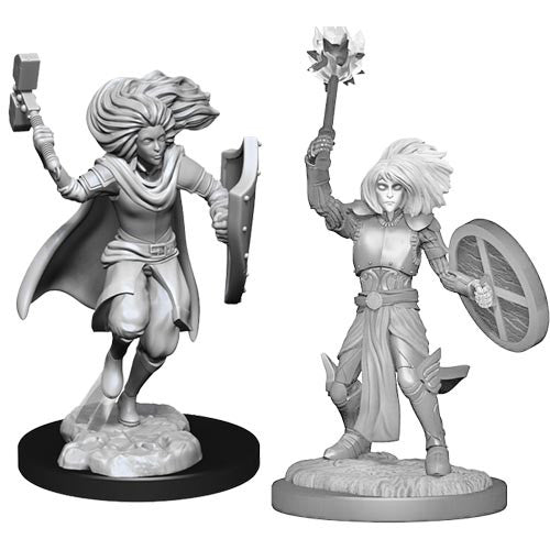 Dungeons & Dragons Nolzur's Marvelous Miniatures: Changeling Cleric