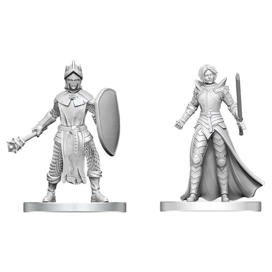 D&D Nolzur's Marvelous Unpainted Minis: Black Gauntlet & Zhentilar Paladin of Bane