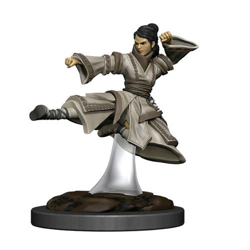 D&D Premium Painted Figure: W6 Female Human Monk