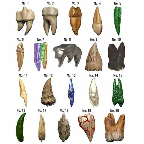 Dungeons & Dragons Miniatures: Icons of the Realms - Teeth of Dahlver-Nar (Bite-sized Artifacts)