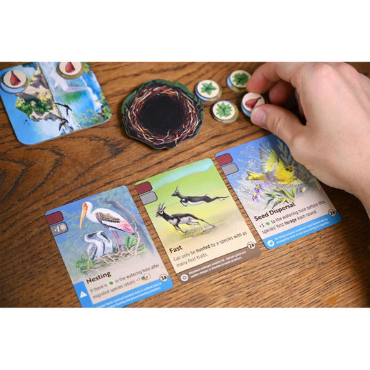 Nature: Module 1 Flight