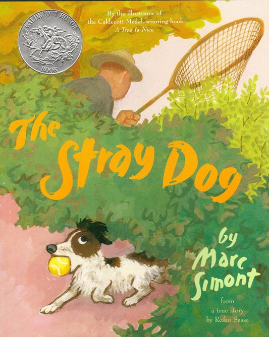 Stray Dog