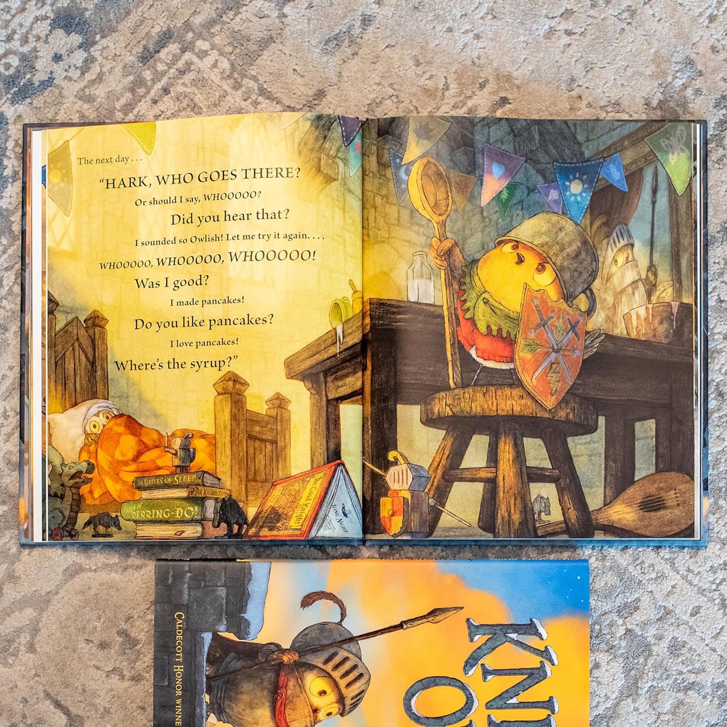 Knight Owl and Early Bird (Hardcover)