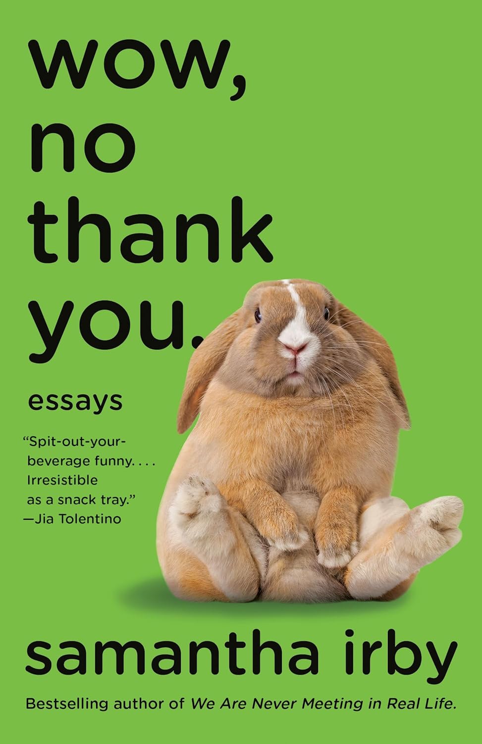 Wow, No Thank You. Essays by Samantha Irby