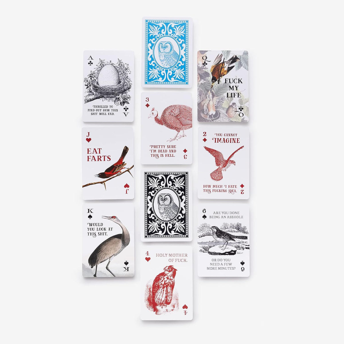 Effin' Birds Playing Cards: Two Standard Decks