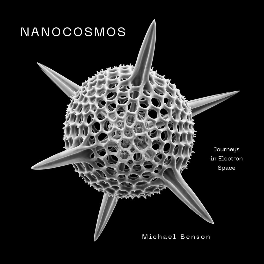 Nanocosmos: Journeys in Electron Space (Harcover)