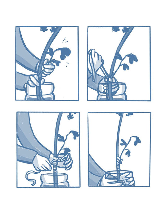 Rose Wolves (Book 2): Out of the Blue (Hardcover)