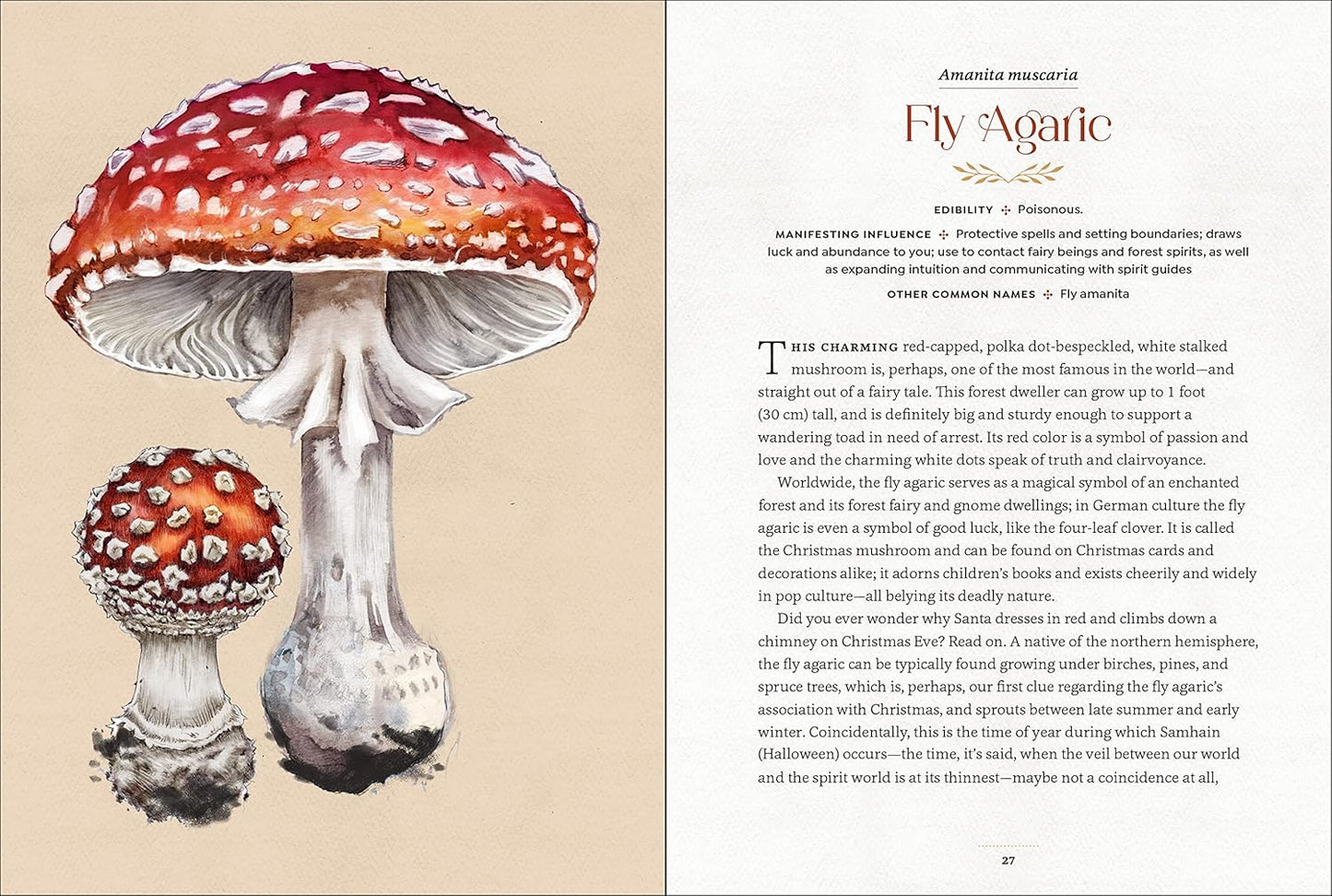 Mystical Mushrooms: Discover the Magic & Folklore of Fantastic Fungi