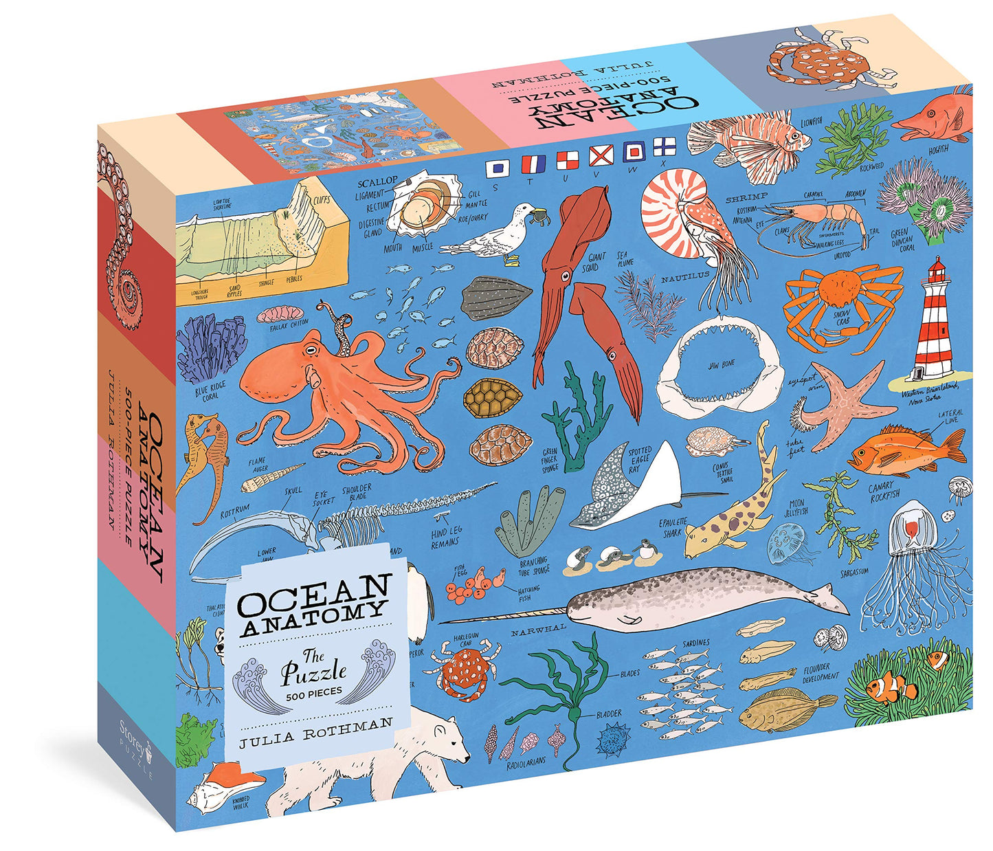 Puzzle: Ocean Anatomy 500 Pieces