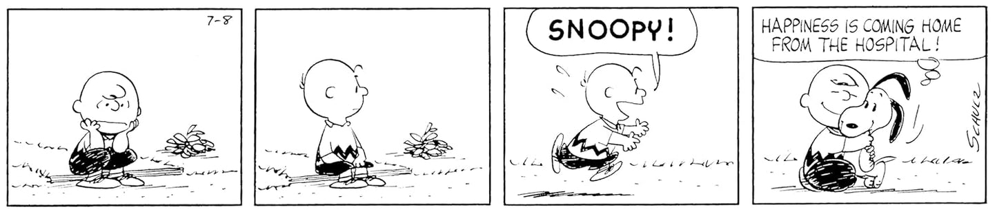 Peanuts: Charlie Brown and Snoopy