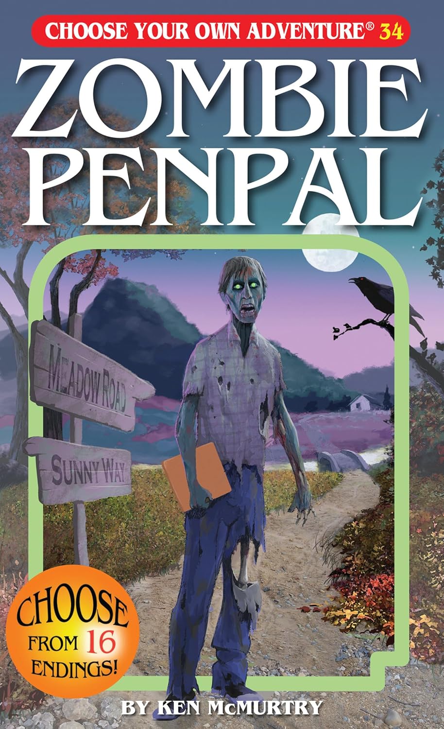 Zombie Penpal (Choose Your Own Adventure)