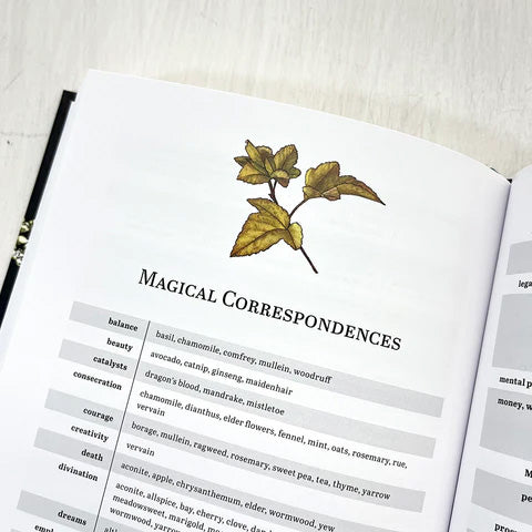 Herbalist's Primer (Standard Edition)