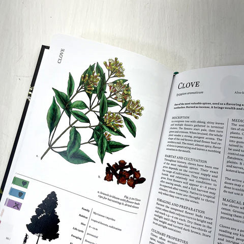 Herbalist's Primer (Standard Edition)