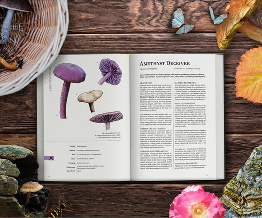 Mycologist's Primer