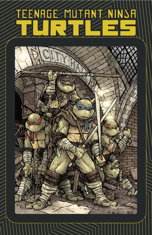 Teenage Mutant Ninja Turtles: Macro-Series