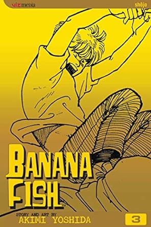 Banana Fish, Vol. 3