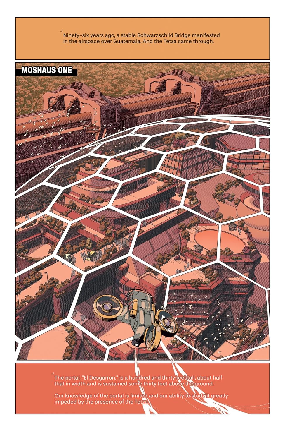 Dawnrunner (Hardcover)