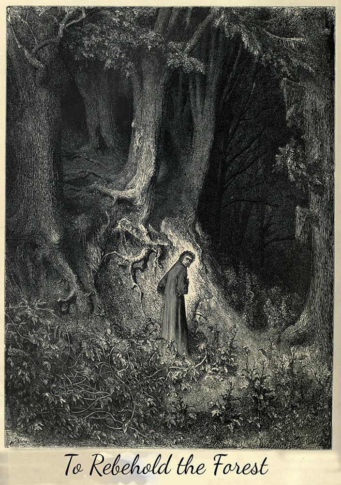 To Rebehold The Forest RPG