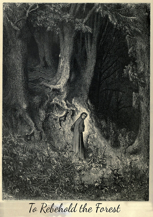 To Rebehold The Forest RPG