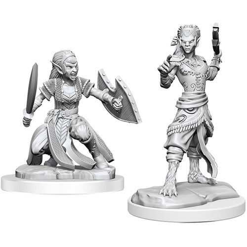 Dungeons & Dragons Nolzur's Marvelous Unpainted Miniatures: W20 Shifter Fighter
