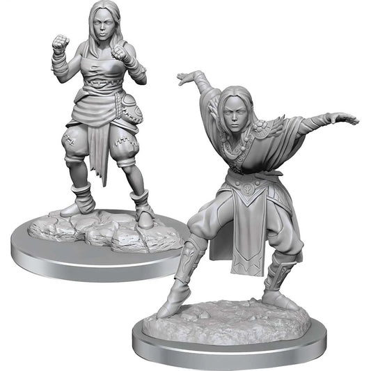 Pathfinder Battles Deep Cuts Unpainted Minis: W21 Female Half-Elf Monk